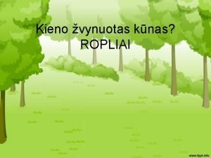 Kieno vynuotas knas ROPLIAI Title Balinis vlys Gyvena