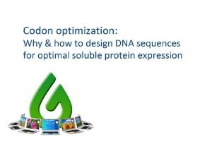 1 Discovering the codon bias 2 Il codice