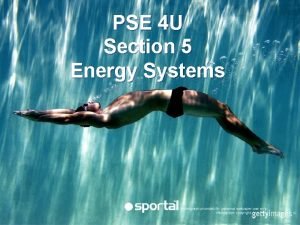 What is predominant energy system