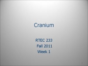 Cranium RTEC 233 Fall 2011 Week 1 1