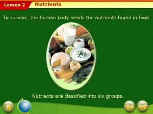 Lesson 2 Nutrients To survive the human body