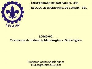 UNIVERSIDADE DE SO PAULO USP ESCOLA DE ENGENHARIA