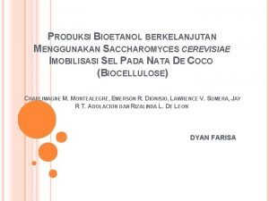 PRODUKSI BIOETANOL BERKELANJUTAN MENGGUNAKAN SACCHAROMYCES CEREVISIAE IMOBILISASI SEL