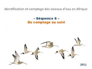 Identification et comptage des oiseaux deau en Afrique