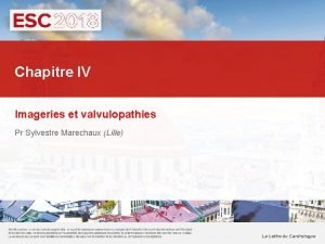 Sylvestre marechaux
