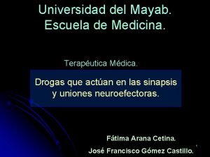 Universidad del Mayab Escuela de Medicina Teraputica Mdica