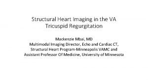 Structural Heart Imaging in the VA Tricuspid Regurgitation