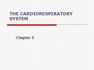THE CARDIORESPIRATORY SYSTEM Chapter 9 Cardiorespiratory System o
