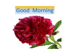 Good Morning Teacher s Identity Shahina Sultana Assistant