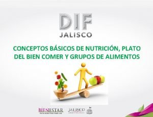 CONCEPTOS BSICOS DE NUTRICIN PLATO DEL BIEN COMER