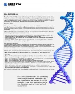 DNA EXTRACTION Deoxyribonucleic acid DNA is a molecule