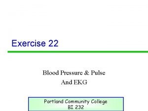 Exercise 22 Blood Pressure Pulse And EKG Portland