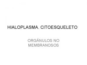 HIALOPLASMA CITOESQUELETO ORGNULOS NO MEMBRANOSOS 1 HIALOPLASMA CARACTERSTICAS