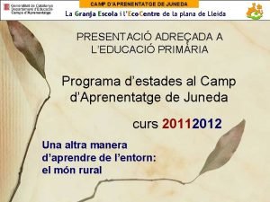 Camp d'aprenentatge juneda