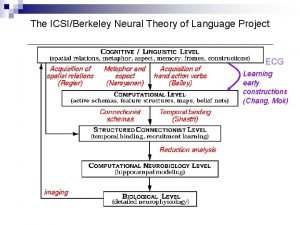 Neural theory