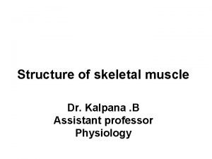 Structure of skeletal muscle Dr Kalpana B Assistant