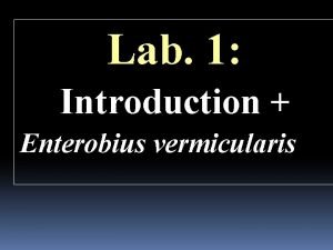 . enterobius vermicularis