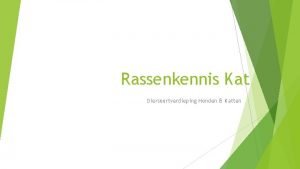 Rassenkennis Kat Diersoortverdieping Honden Katten Onderverdeling rassen Natuurrassen