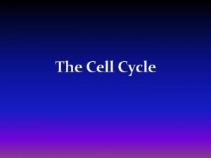 The Cell Cycle Order of cell organization Cell