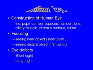 Construction of Human Eye iris pupil cornea aqueous