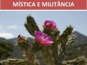 MSTICA E MILIT NCIA A Dom Pedro Casaldliga