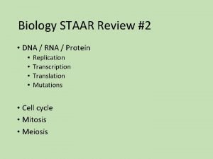 Biology staar review Biology staar review