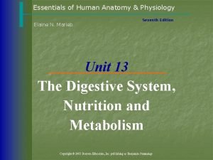 Figure 14-2 digestive system