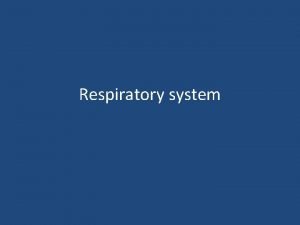 Respiratory system Functional Anatomy of respiratory system Mechanics