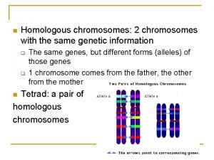 n Homologous chromosomes 2 chromosomes with the same