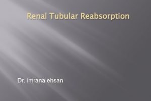 Renal Tubular Reabsorption Dr imrana ehsan What do