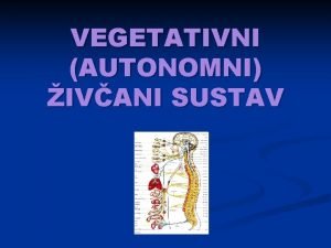 VEGETATIVNI AUTONOMNI IVANI SUSTAV Vegetativni ivani sustav n