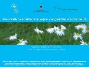 Kontrastivna analiza rabe vejice v angleini in slovenini