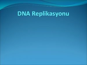 DNA Replikasyonu DNA Kendi kopyasn yapabilir Replikasyon Hatal