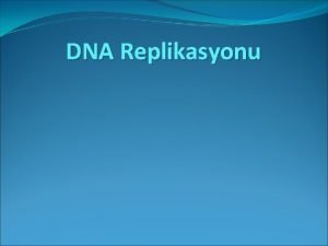 Replikasyon orijini