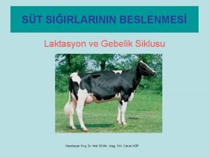 ST SIIRLARININ BESLENMES Laktasyon ve Gebelik Siklusu Hazrlayan