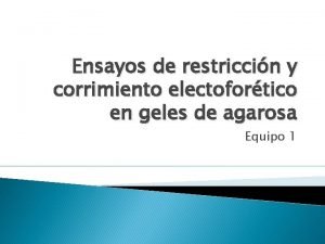 Ensayos de restriccin y corrimiento electofortico en geles