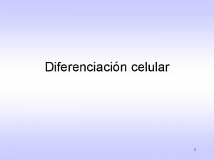 Diferenciacin celular 1 La clula nace crece se