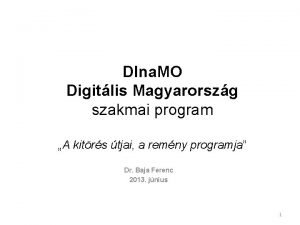 Dina program