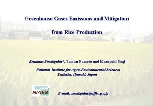 Greenhouse Gases Emissions and Mitigation from Rice Production