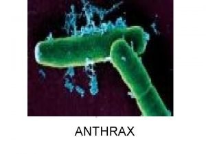 By Justin Tursellino ANTHRAX Anthrax is a Anthrax