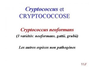 Cryptococcus et CRYPTOCOCCOSE Cryptococcus neoformans 3 varits neoformans