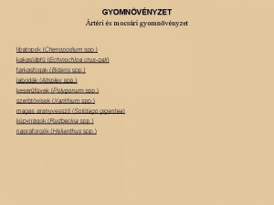 GYOMNVNYZET rtri s mocsri gyomnvnyzet libatopok Chenopodium spp