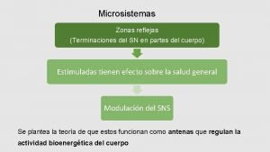 Microsistemas Zonas reflejas Terminaciones del SN en partes