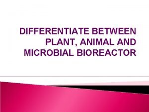 DIFFERENTIATE BETWEEN PLANT ANIMAL AND MICROBIAL BIOREACTOR The