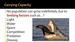 Carrying Capacity No population can grow indefinitely due