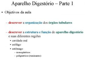 Aparelho Digestrio Parte 1 Objetivos da aula descrever