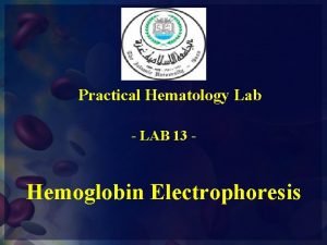 Practical Hematology Lab LAB 13 Hemoglobin Electrophoresis Electrophoresis