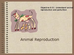 Objective 8 01 Understand animal reproduction and parturition