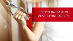 STRUCTURAL BASIS OF MUSCLE CONTRACTION MUSCLE TYPES OF