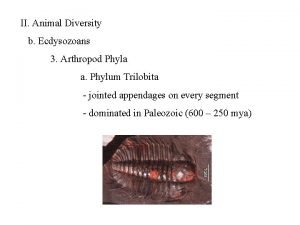 II Animal Diversity b Ecdysozoans 3 Arthropod Phyla